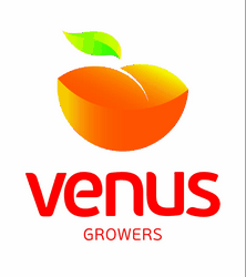 logo venus 1.gif